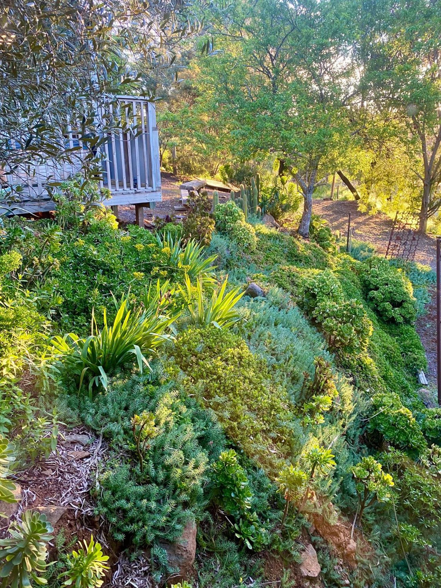 Sutton Spring Art Retreats Lägenhet Daylesford Rum bild