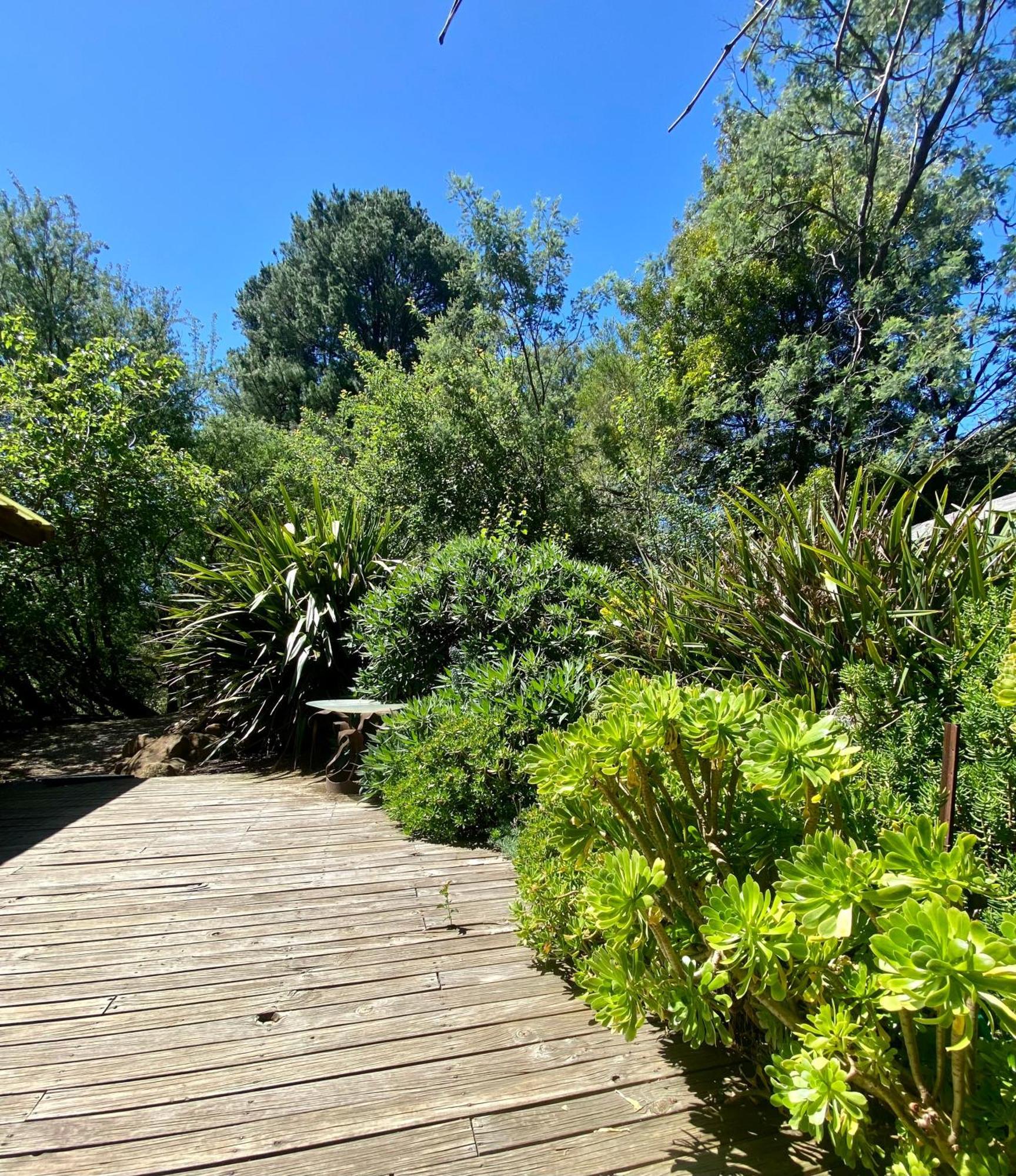Sutton Spring Art Retreats Lägenhet Daylesford Rum bild