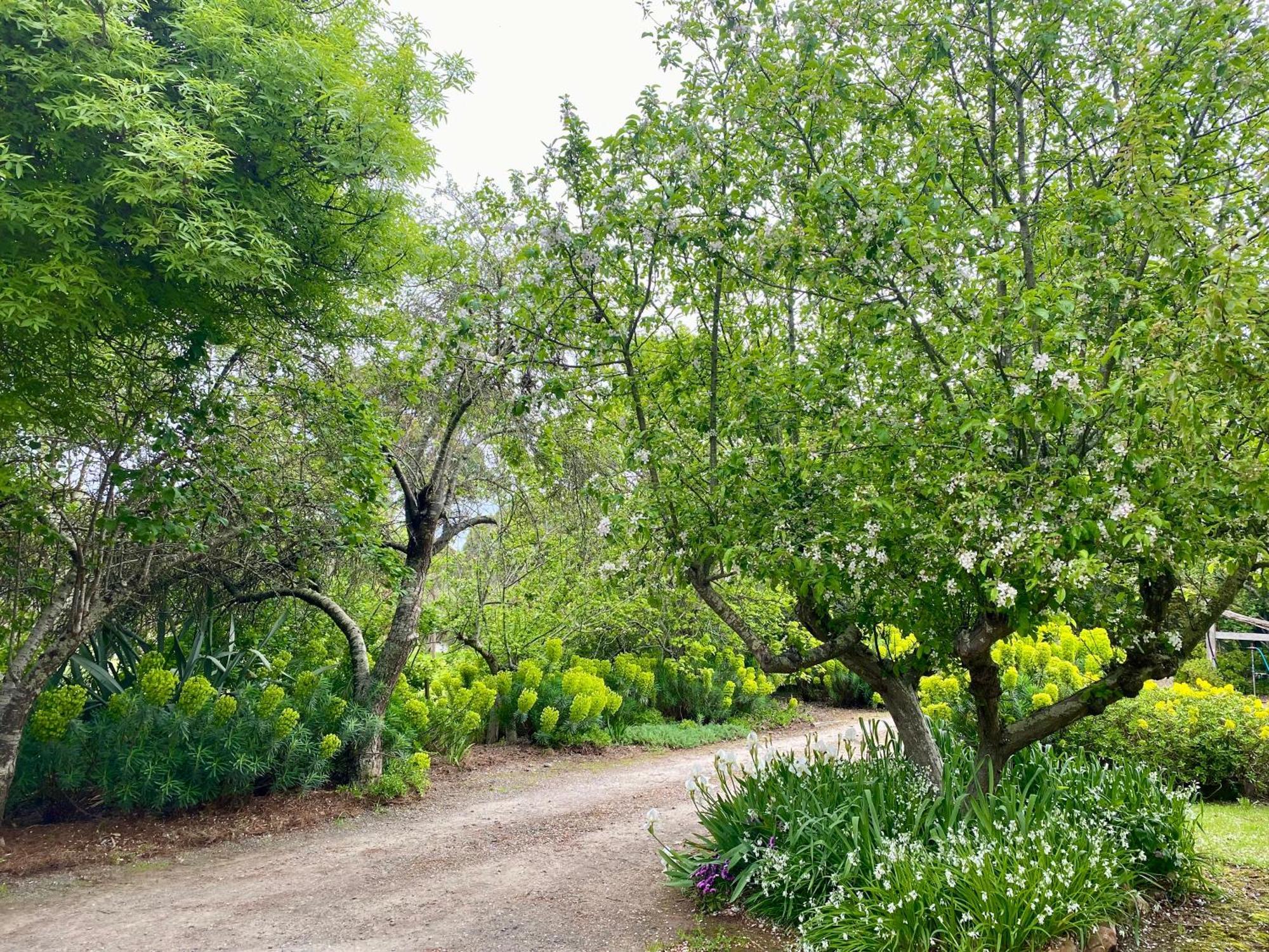 Sutton Spring Art Retreats Lägenhet Daylesford Rum bild