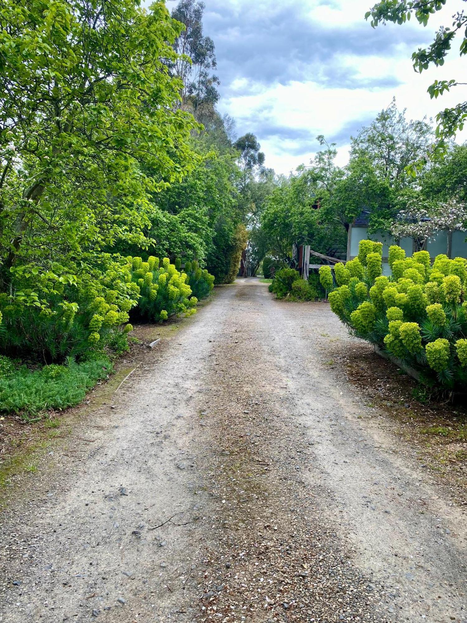 Sutton Spring Art Retreats Lägenhet Daylesford Exteriör bild